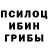 Псилоцибиновые грибы мухоморы _misha_ sekachev_