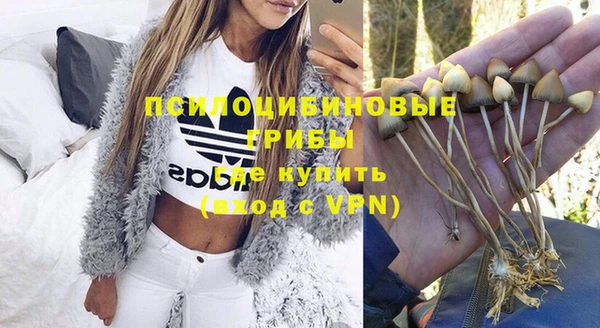 скорость Белокуриха