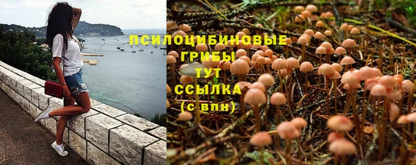 скорость Белокуриха