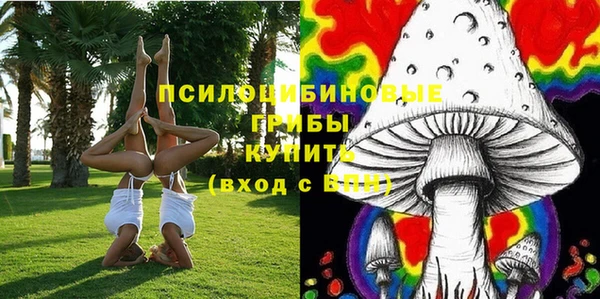 хмурый Белоозёрский