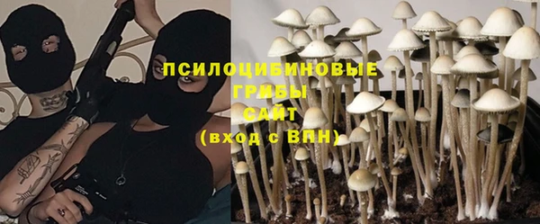 бошки Беломорск